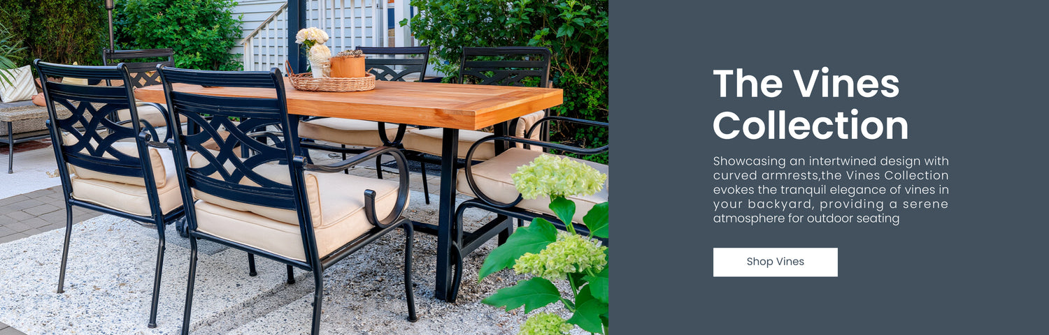 Explore Our Collections