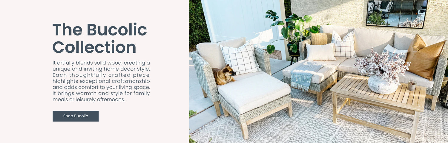 Explore Our Collections