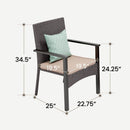 PHI VILLA Patio Wicker Rattan Haiti Chair Set of 2