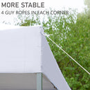 PHI VILLA 10x10Ft Pop Up Canopy Tent with Wheeled Bag,Straight Legs, 100 Sq. Ft