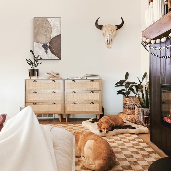 Natural Rattan Storage Cabinet and Chest of Drawers