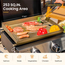 Captiva Designs Gas Griddle with Foldable Cart 2*10,000 BTU