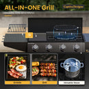 Captiva Designs All-in-One Grill: Griddle and Grill, Versatile Cooking