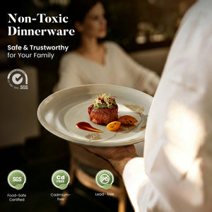 12 Pieces Organic Stoneware Dinnerware Set with Botanical Patterns