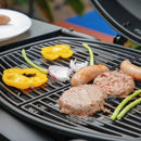 Tabletop Propane Grill with 2 Stainless Steel Burner-Captiva Designs