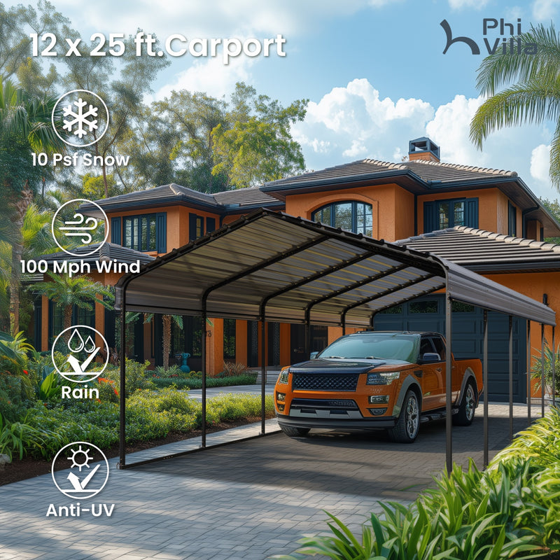 PHI VILLA Deluxe Heavy Duty Metal Outdoor Carport Canopy Multi-use Car Garage Shelter