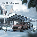 12x30ft 2 Car Metal Carports
