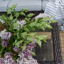 5-Seater Garden Vintage Swivel Rattan Sofa Sets with Wicker Table