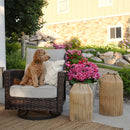 5-Seater Garden Vintage Swivel Rattan Sofa Sets with Wicker Table