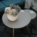 Curved Sectional Sofa Set in Vintage Rattan and Cushions