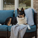 Curved Sectional Sofa Set in Vintage Rattan and Cushions