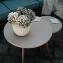 Curved Sectional Sofa Set in Vintage Rattan and Cushions