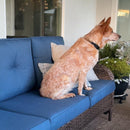 Patio Vintage Swivel Wicker Sofa Set with Rattan Coffee Table