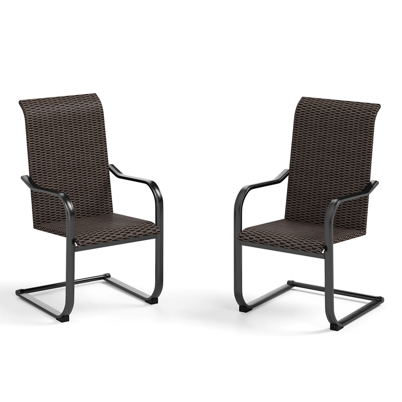Phi Villa 2-piece Rattan C-spring Patio Dining Chairs Set