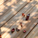 PHI VILLA 7-Piece Outdoor Dining Set with 6 Rattan Chairs & Acacia Wooden Table