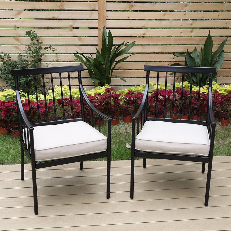 PHI VILLA 2-Piece Steel Fixed Patio Outdoor Dining Chairs Set